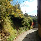 DSCN9132