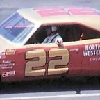 Dodge Charger Bobby Allison - 2