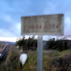 DSCN9700