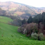 DSCN6182