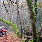 021-IMG_4012