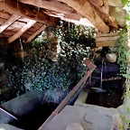 DSCN9378
