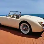 mga-top