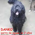 DANKO Valladolid