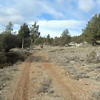 CIMG0708