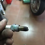 TL1000S Bujia 5