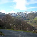 DSCN7767