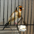 IMG_20170122_131658