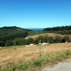 DSCN7571