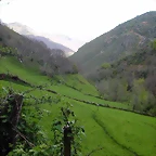 DSCN9104