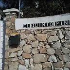 el quinto pino