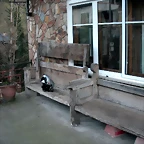 DSCN3054