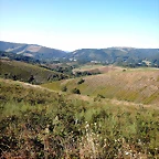 DSCN6937