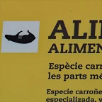 Zoo de Barcelona 03-04-11 974