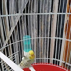 IMG_20240130_092713