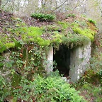 DSCN5760