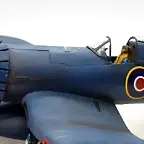 SDC21350
