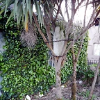 DSCN9643