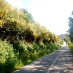 DSCN6204