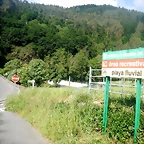 DSCN6190