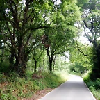 DSCN4272