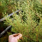 DSCN8467