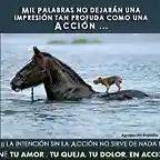 Solidaridad y amor desinteresado...