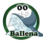 ballena