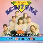 Grupo Aceituna - Cancion De Amor 1994