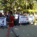 IMAG0860