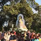 024, la virgen, marca