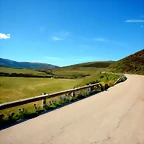 DSCN8501