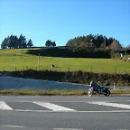 DSCN6617