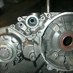 DSCN3188