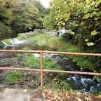 DSCN8323