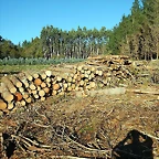 DSCN9785