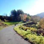 DSCN9433