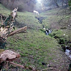 DSCN8173