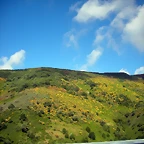DSCN6096