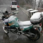 DSCN7461