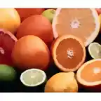 citricos