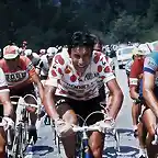 TOUR 1976,GIANCARLO BELLINI,POULIDOR,KUIPER.