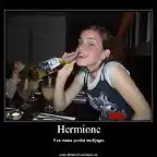 Hermion_2