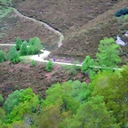 11-IMG_5910
