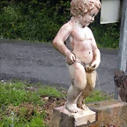 DSCN4211