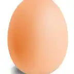 Eggs02