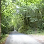DSCN6138