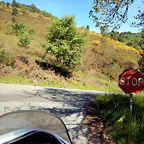 DSCN0982