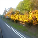 DSCN2520