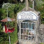 DSCN2454